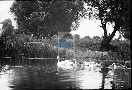 9a08a6e347326dbe49c309a48bd68c48