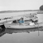 JC 027477 KAMIEŃ POMORSKI