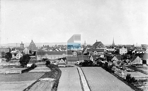 JC 027799 ELBLĄG