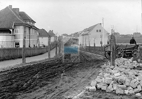 JC 027836 ELBLĄG