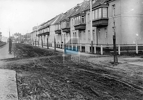 JC 027837 ELBLĄG