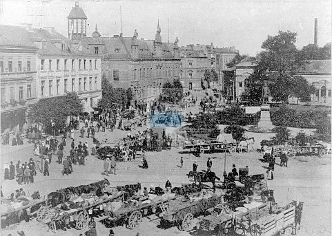 JC 027892 ELBLĄG
