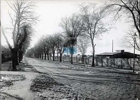 JC 028054 ELBLĄG