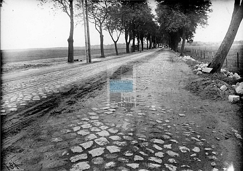 JC 028097 ELBLĄG