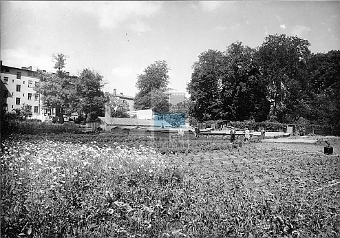JC 028164 ELBLĄG