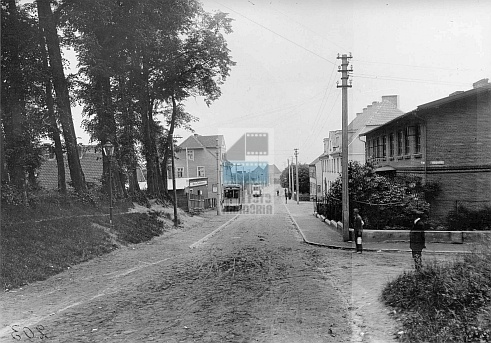 JC 028202 ELBLĄG