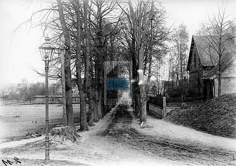 JC 028203 ELBLĄG