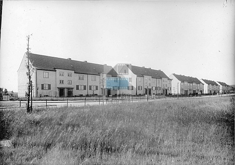 JC 028210 ELBLĄG