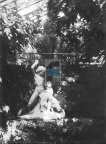 JC 028737 ŁAŃCUT