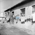 JC 029024 ŁOWICZ