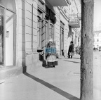 JC 029025 ŁOWICZ