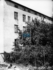 JC 029131 ELBLĄG