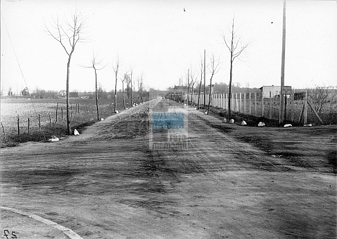 JC 029218 ELBLĄG