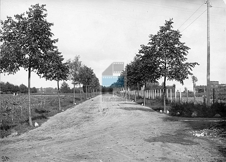 JC 029256 ELBLĄG
