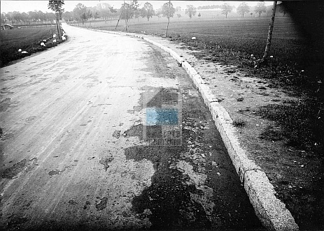 JC 029259 ELBLĄG