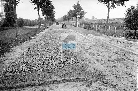 JC 029260 ELBLĄG