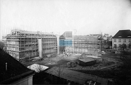 JC 029456 ELBLĄG