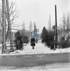 JC 029611 RADZIEJÓW