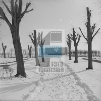 KOŁOBRZEG