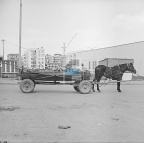 JC 030984 ŁĘCZNA