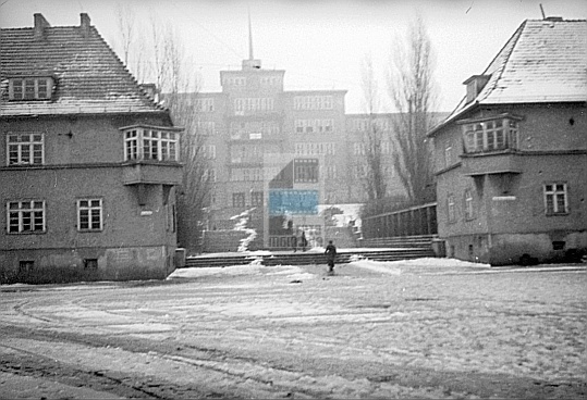 JC 031390 ELBLĄG