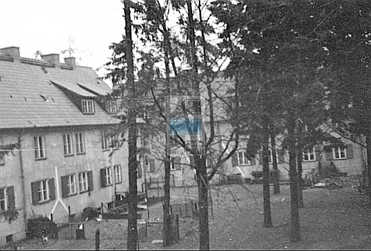 JC 031391 ELBLĄG