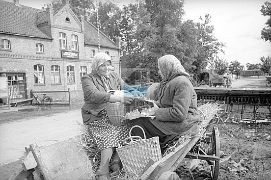 JC 031684 STARE POLE  3_39_0_-_3380_28_54453799.jpg